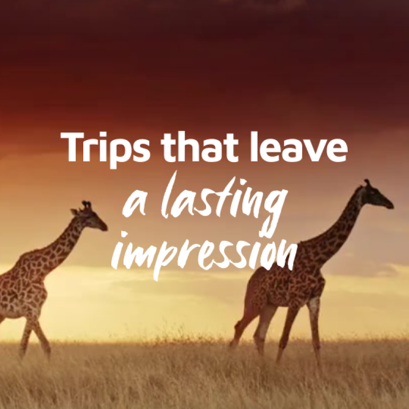 Trips that leave a lasting impression
